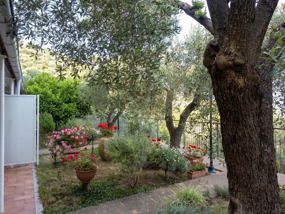 Tra Gli Ulivi Bed & Breakfast Pietra Ligure Dış mekan fotoğraf