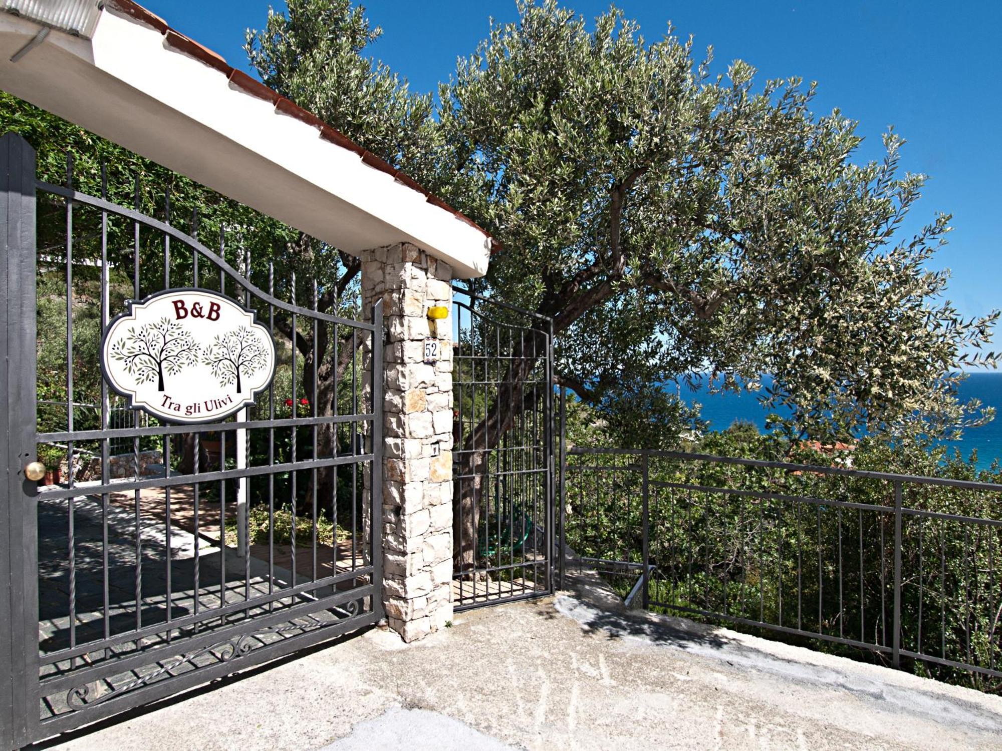 Tra Gli Ulivi Bed & Breakfast Pietra Ligure Dış mekan fotoğraf