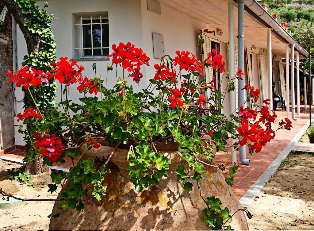 Tra Gli Ulivi Bed & Breakfast Pietra Ligure Dış mekan fotoğraf